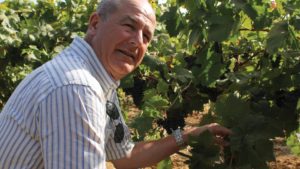 Looking To Italy For New Winegrape Varieties