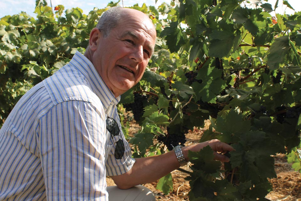 Looking To Italy For New Winegrape Varieties