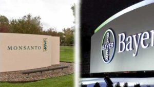 Bayer to Sell Its Vegetable Seed Business