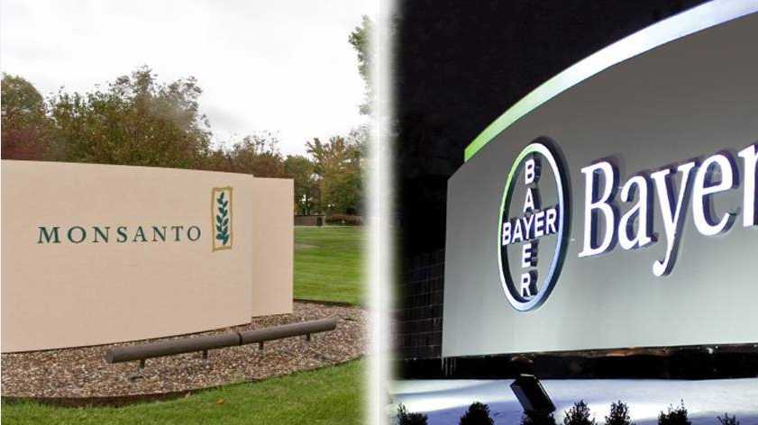 Bayer to Sell Its Vegetable Seed Business