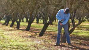 Are You Ready for Agriculture 3.0? [Opinion]