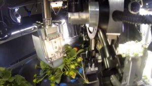 USDA Announces $3 Million For Robotic Agriculture Research