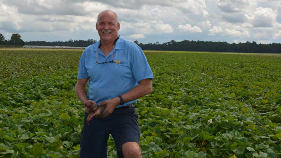 Food Hubs Helping Connect Agriculture And Urban Communities