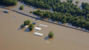 What Next? What To Do After A Natural Disaster At Your Farm