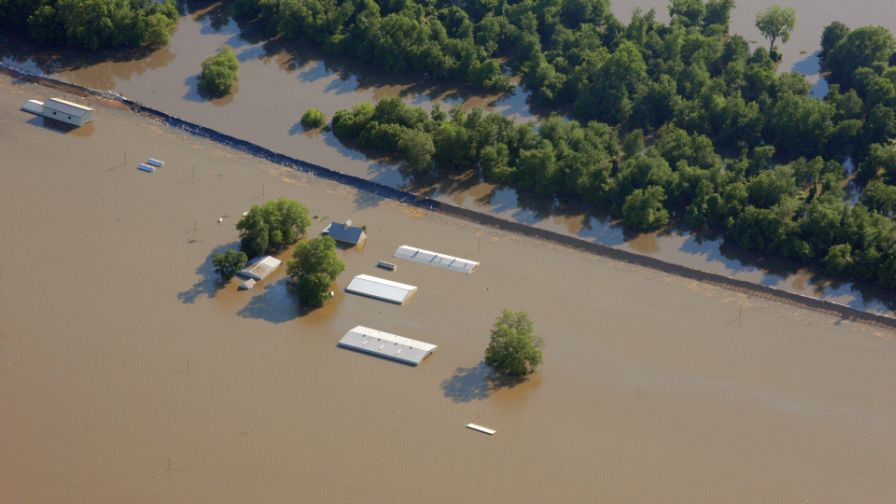 What Next? What To Do After A Natural Disaster At Your Farm