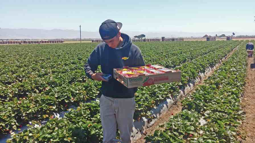 Ways Young Farmers are Gearing up to Grow Faster