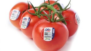 NatureFresh Farms Launches OhioRed Tomato Program