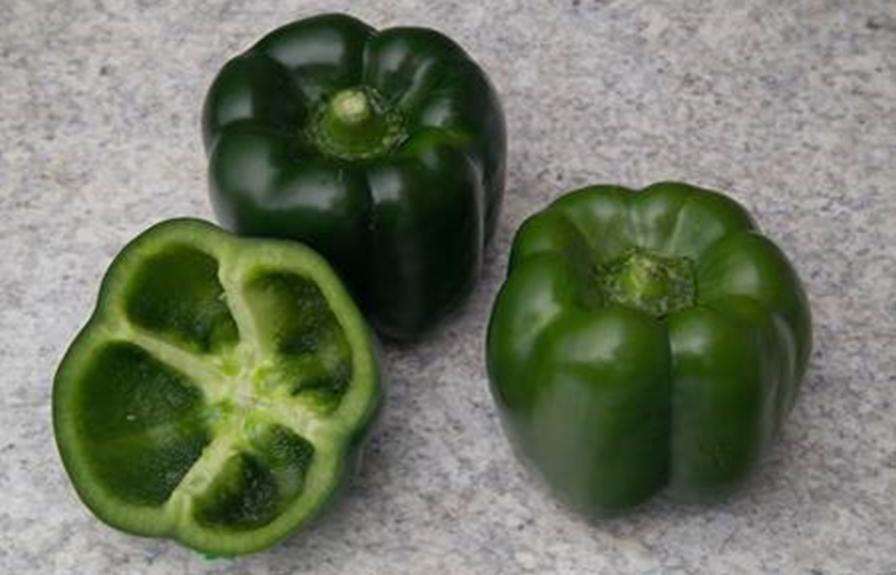 New Green Pepper Offers Improved Taste And Color