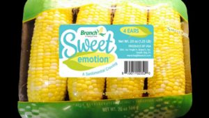 Branch Farms Debuts ‘Sweet Emotion’ Sweet Corn 