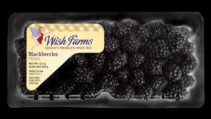 Wish Farms Going Bigger, Bolder With Blackberries