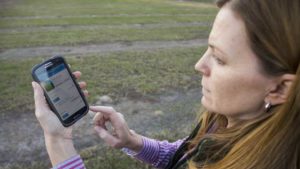 Irrigation App Apt To Save Avocado Growers Time, Money
