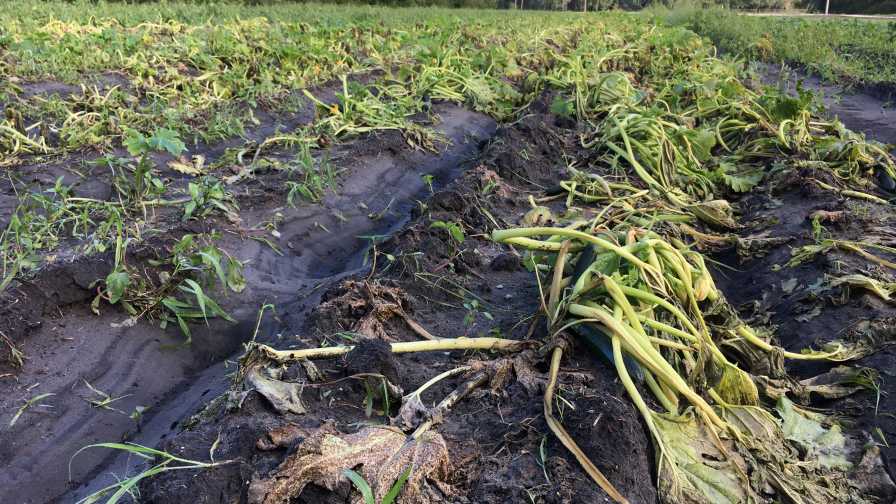 Damage Assessments, Recovery Begin In Wake Of Matthew