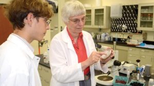 USDA Gives $17.7M in Grants for Plant Breeding, Production Studies