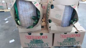 3,100 Pounds Of Marijuana Hidden In Cucumbers Confiscated