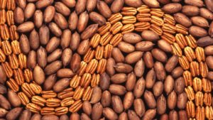 How Are Pecans Being Affected By Climate Change?