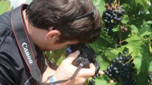 Winegrape Society Awards $100,000 in Scholarships