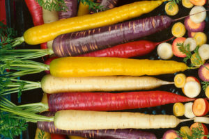 Rainbow F1