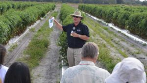 Plant Health Primer