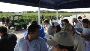 Everything You Need to Know About the 2017 Florida Ag Expo