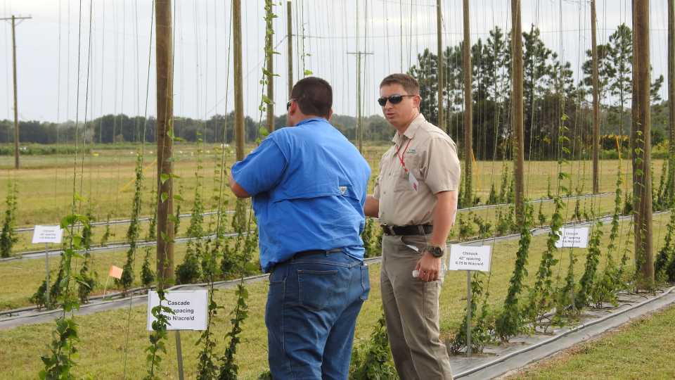 High On Hops