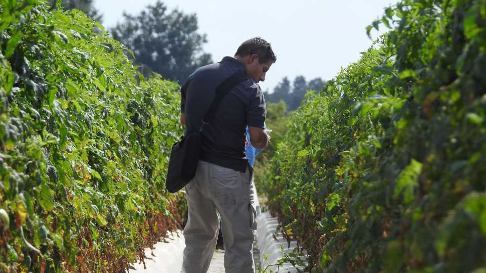 Field Notes