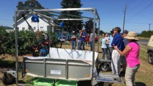 Researchers Develop Lower-Cost Options For Blueberry Harvest Assist Systems