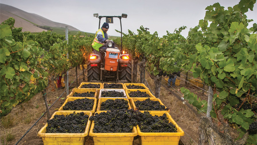 Wine Industry Giant Gallo Grows Even Larger
