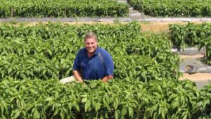 A Laser Focus On Peppers