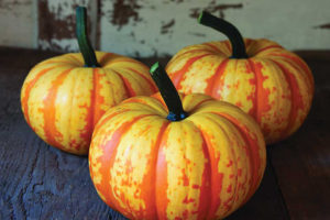 Blaze
