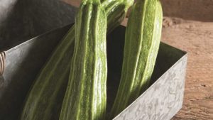 Johnny’s Selected Seeds 2016 Vegetable Variety Showcase