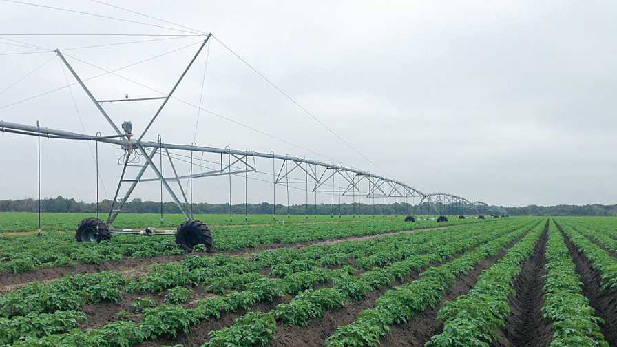 Florida Farmers Are Good For The Environment