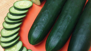 Clifton Seed Company 2016 Vegetable Variety Showcase