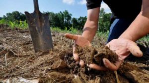 Climate Change Drives New Healthy Soils Program