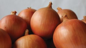 14 Top-Notch Onion Varieties