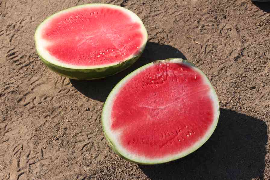 An Education On Varieties [opinion]