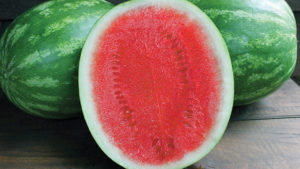 Stokes Seeds 2016 Vegetable Variety Showcase