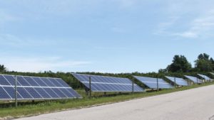 Bright Idea: How Apples and Solar Panels Can Grow Together