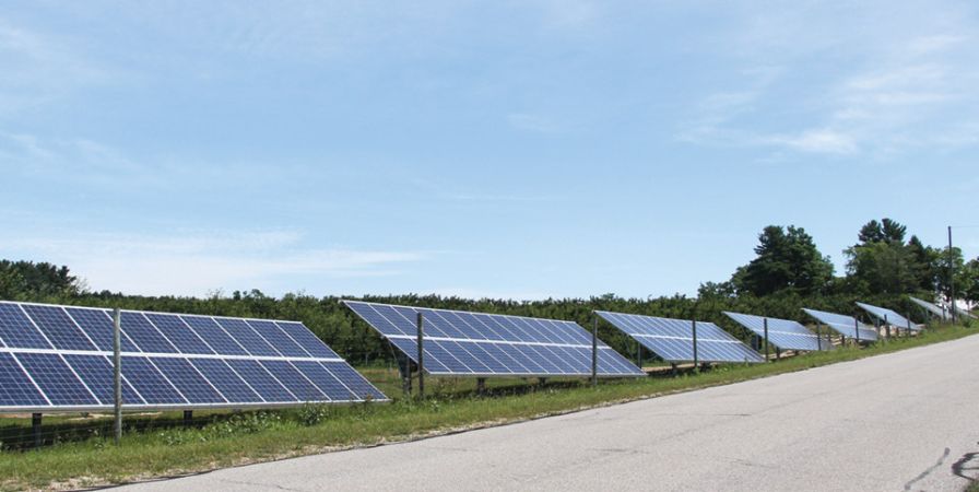 Skies Look Sunny for Agrivoltaics in Washington State