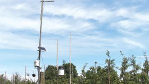 Take Advantage of Technology to Help Manage Diseases, Pest Pressure