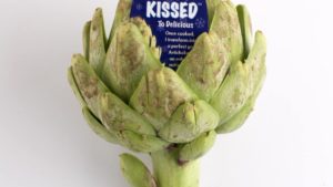 Ocean Mist Farms Gears Up for Flavorful Artichokes