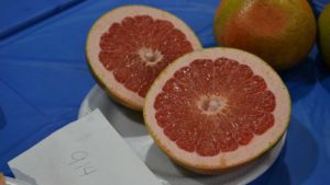 Florida Grapefruit Gains More Ground on the Season