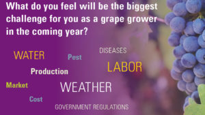 Growing Season’s Challenges Accepted
