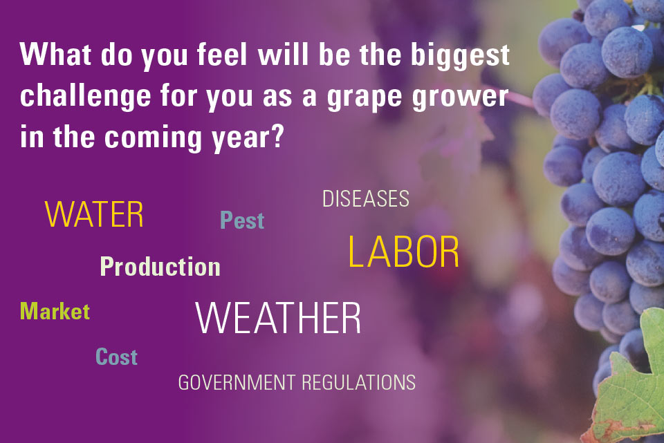 Growing Season’s Challenges Accepted