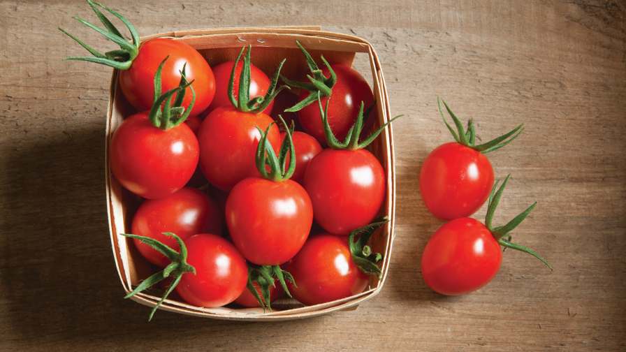 10 Tomato Varieties You Need To Know - Growing Produce