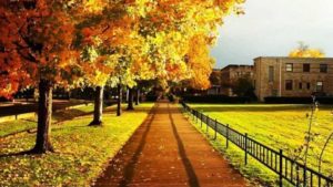 List of Best College Farms Released