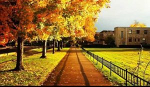 2. College of the Ozarks