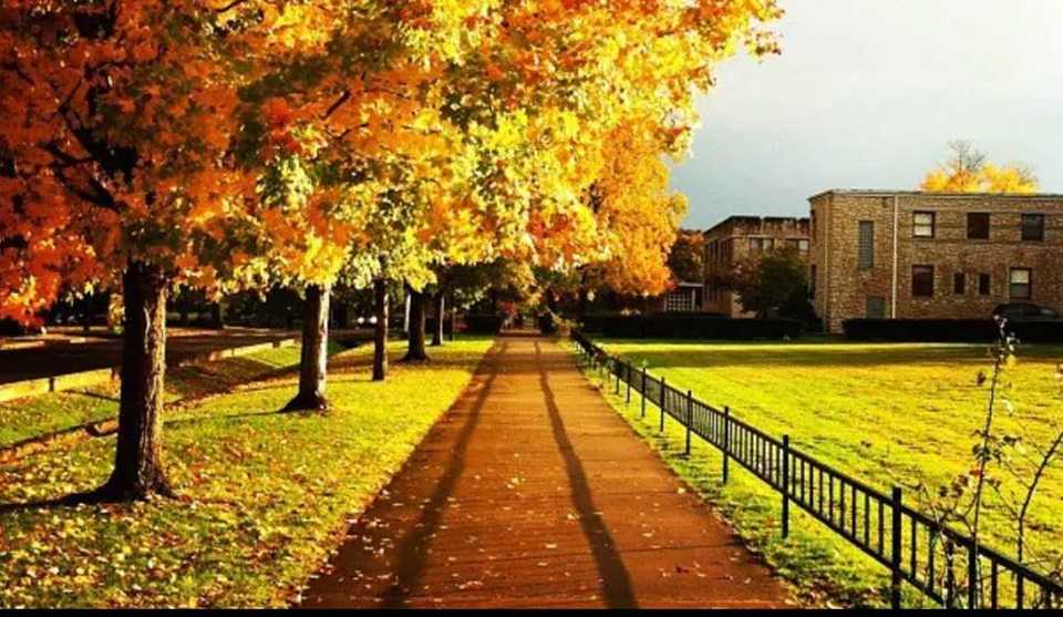 List of Best College Farms Released