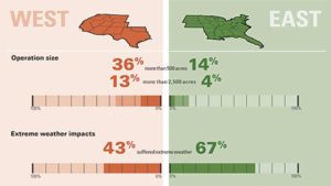 West vs. East: How Growers Differ from One Another