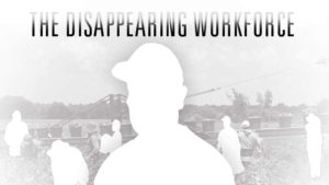 The Disappearing Workforce: Vegetable Growers Need Labor