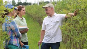 Pollination Experts Host Webinar Series
